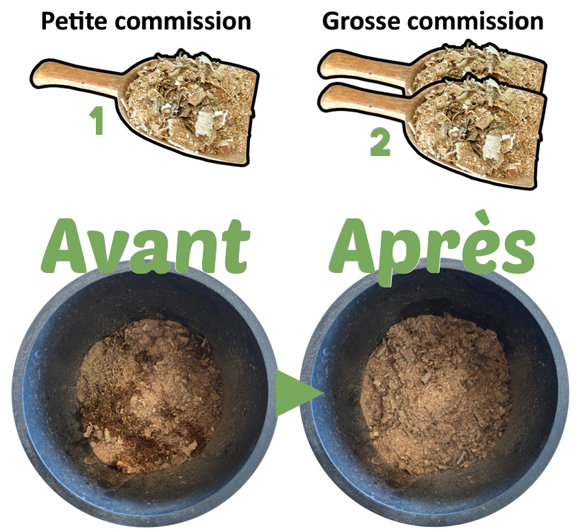 Avant